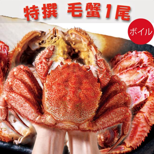 特撰 毛蟹1尾