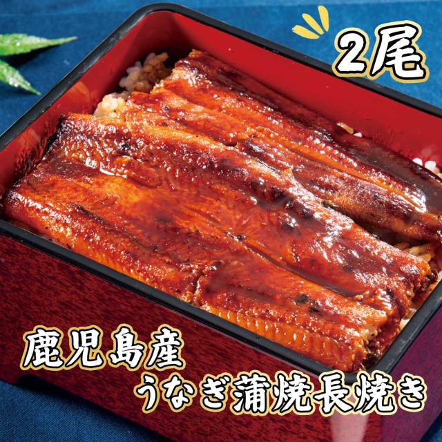 鹿児島産うなぎ蒲焼長焼き 2尾