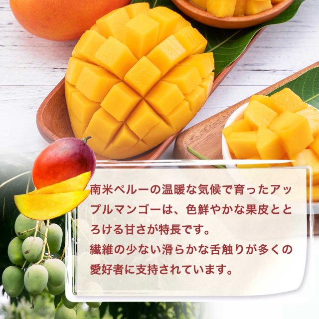 アップルマンゴーチャンク 500g