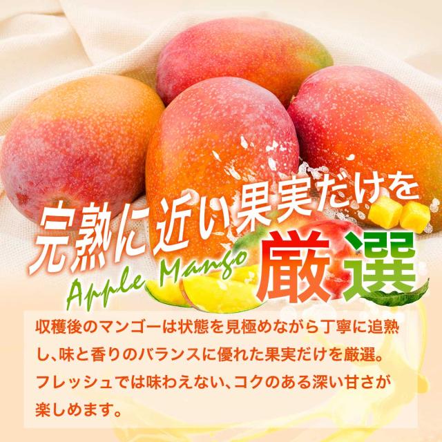 アップルマンゴーチャンク 500g