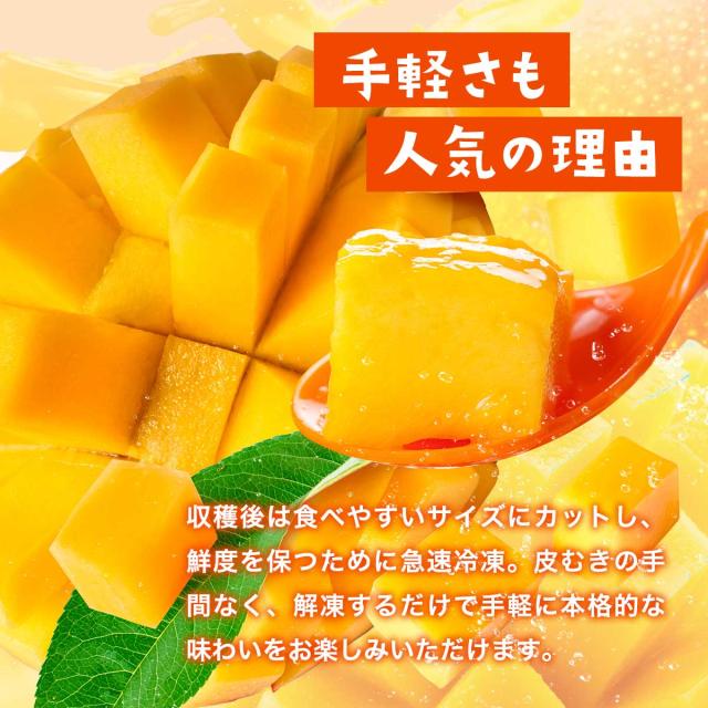 アップルマンゴーチャンク 500g