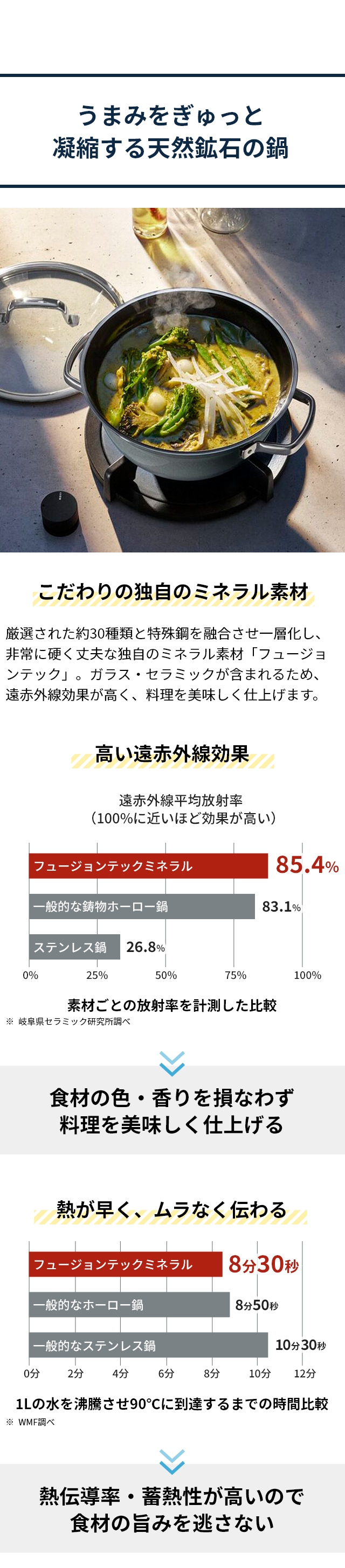 WMF (ヴェーエムエフ) フュージョンテック ミネラル ライスポット (Fusion Tech Mineral Rice Pot) 20cm
