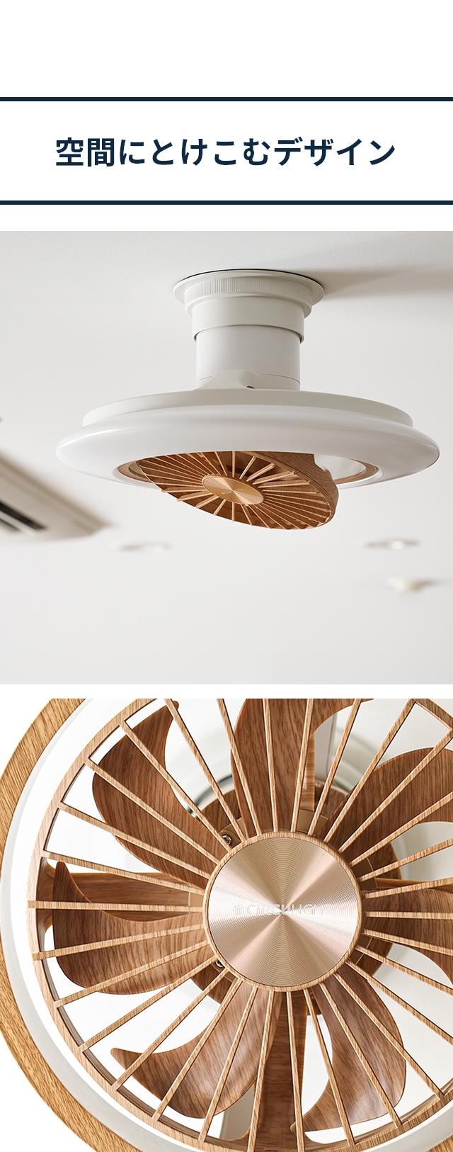 CIRCULIGHT EZ Series(サーキュライト EZシリーズ) スイングモデル 6畳用 ライトウッド DCC-SW06EL