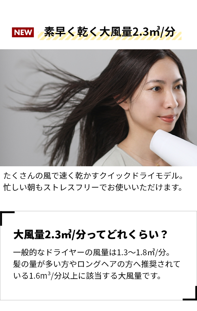 mod's hair （モッズ ヘア） スタイリッシュ マイナスイオン ヘアードライヤー MHD-1222