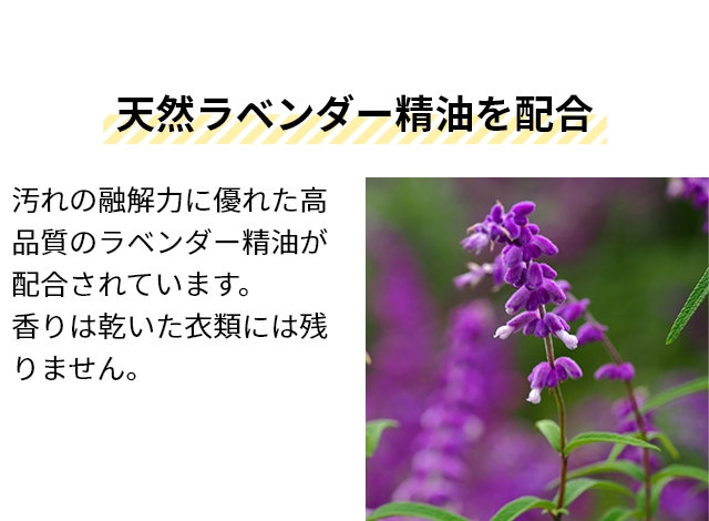 THE (ザ) 洗濯洗剤 詰め替え用 シンクネイチャー (Think Nature) 3個セット