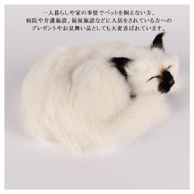 リアル 誕生日 ねこ 長毛 本物 猫 ペットロス ペット ぬいぐるみ ラビットファー そっくり 動物 猫のぬいぐるみ 癒しグッズ 雑貨  お祝の通販はau PAY マーケット - ひかりフロア | au PAY マーケット－通販サイト