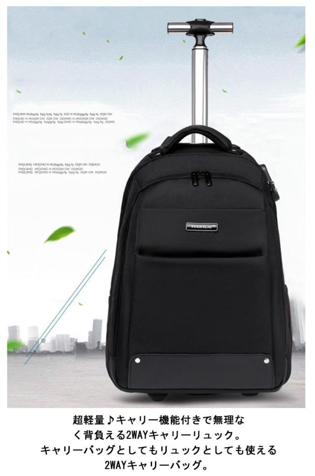 レア廃盤ヴィンテージ】 パタゴニア キャリー＆リュック 2way 機内