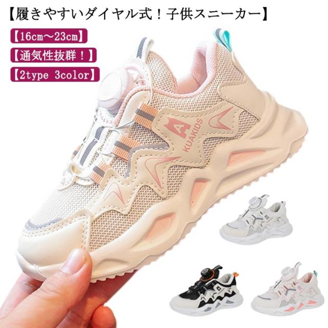 kaji342693-01.jpg