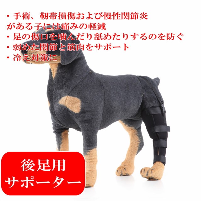 犬用 関節プロテクター 膝 サポーター 後足関節保護 固定 リハビリ 包帯 犬骨折治療 老犬介護 介護用品 シニア 肘当て 床ずれ 腕 肘 老犬の通販はau  PAY マーケット - candy.candy | au PAY マーケット－通販サイト