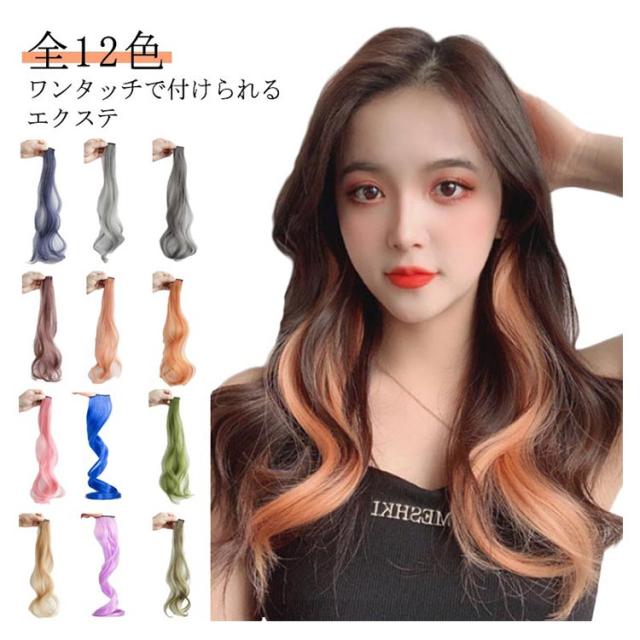 同色2本セット 全12色 エクステ メッシュ 自然 カラーエクステ