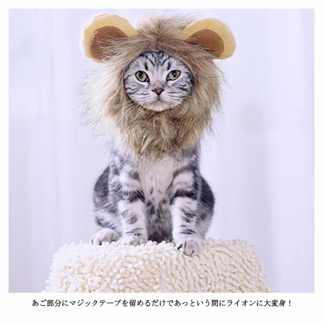 猫 帽子 ライオン 帽子 ねこ 小型犬 ライオン耳付き 帽子 かわいい