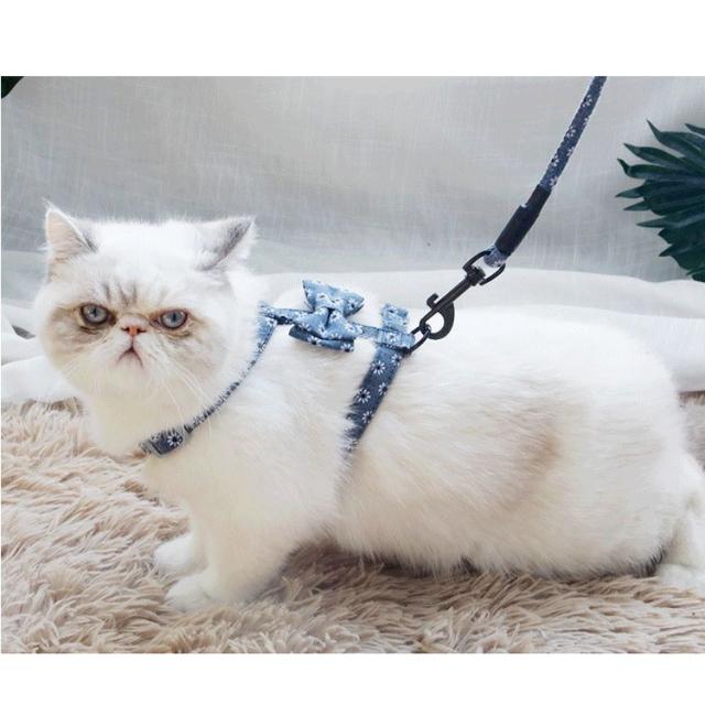 目玉商品 ネコ チェック 散歩 胴輪 リード 猫 ペット ねこ おしゃれ 簡単装着 かわいい 猫用ハーネス 快適おしゃれ 初売りセール Www Iacymperu Org