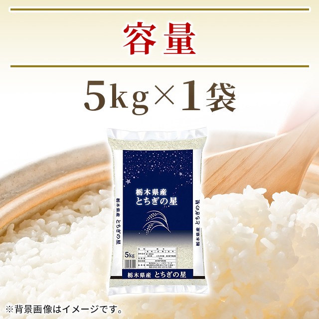 お米 栃木県産 とちぎの星 精白米 5kg(5kg×1袋) 令和6年産 お米 栃木県産 とちぎの星 精白米 5kg(5kg×1袋) 令和6年産