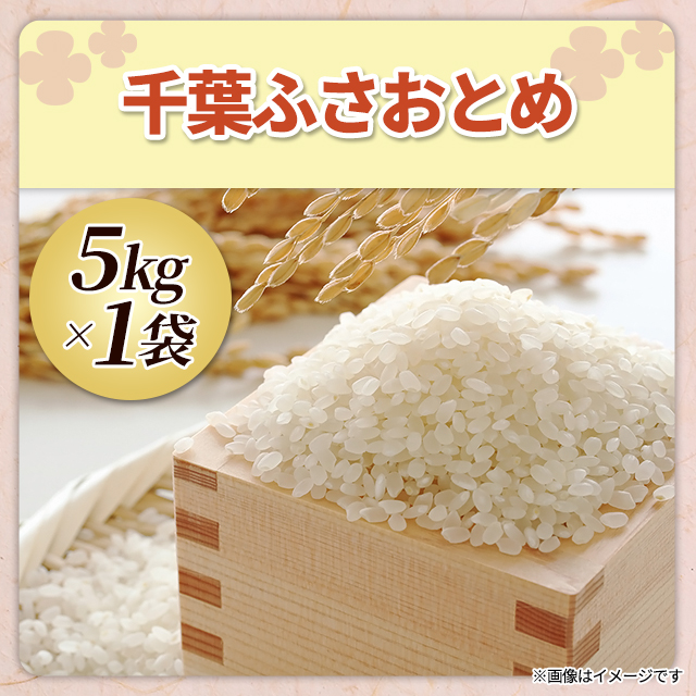 お米 千葉県産 ふさおとめ 精白米 5kg（5kg×1袋） 令和7年産