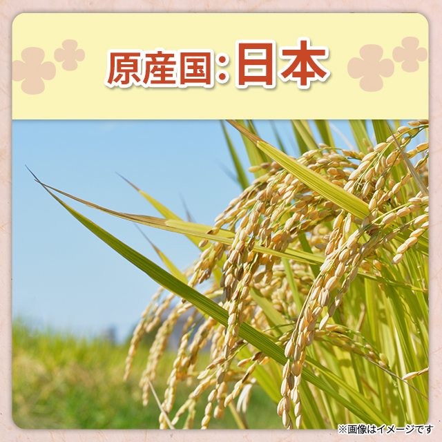 お米 千葉県産 ふさおとめ 精白米 5kg（5kg×1袋） 令和7年産