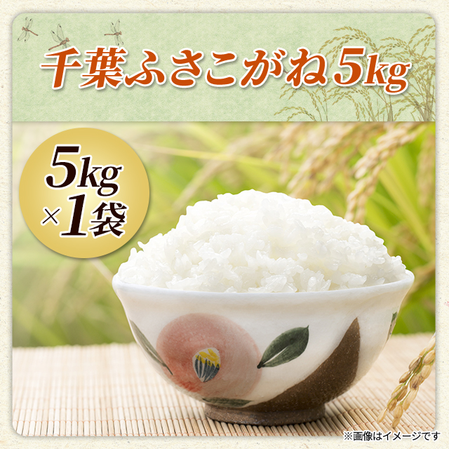 お米 千葉県産 ふさこがね 精白米 5kg（5kg×1袋） 令和7年産