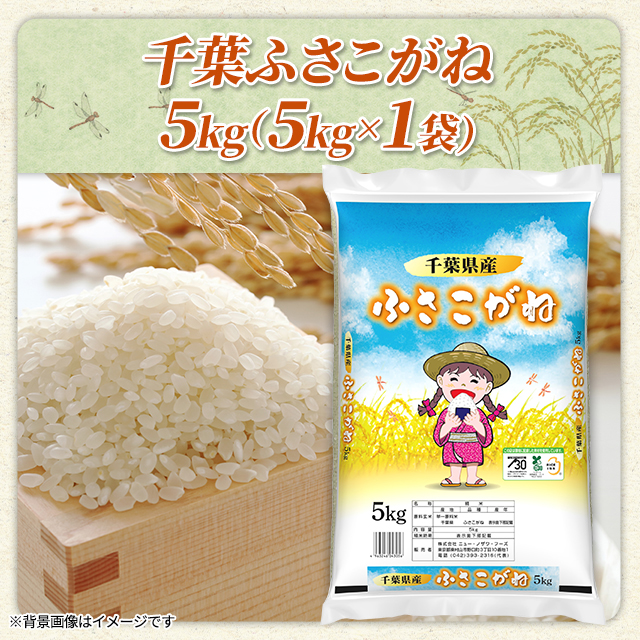 お米 千葉県産 ふさこがね 精白米 5kg（5kg×1袋） 令和7年産