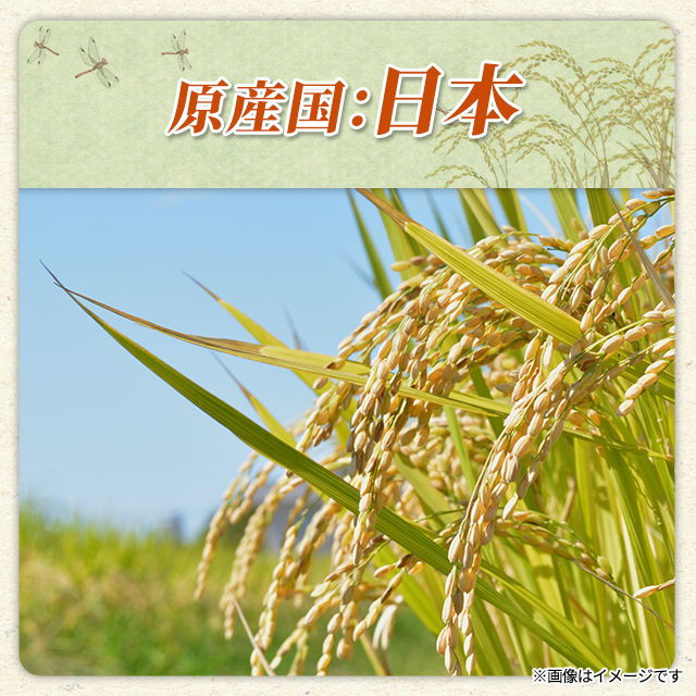 お米 千葉県産 ふさこがね 精白米 5kg（5kg×1袋） 令和7年産