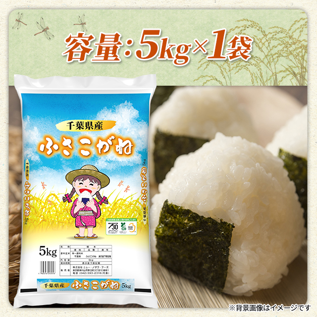 お米 千葉県産 ふさこがね 精白米 5kg（5kg×1袋） 令和7年産