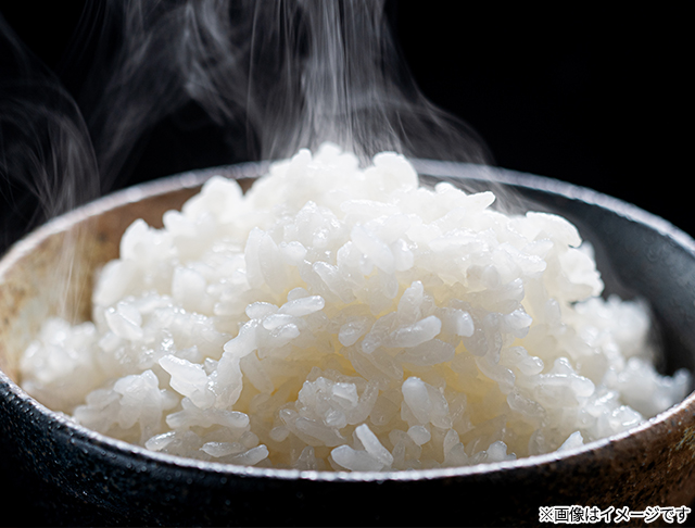 新米 お米 茨城県産 あきたこまち 精白米 5kg（5kg×1袋） 令和8年産