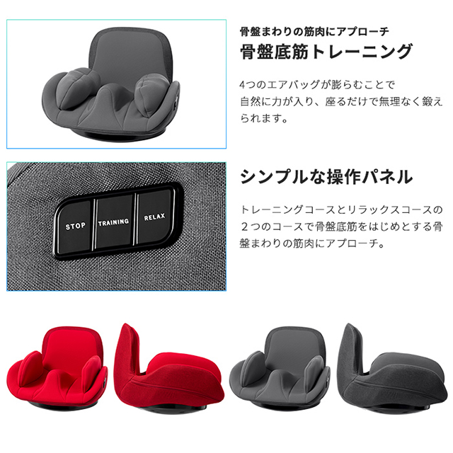 AiMY エイミー フェムエア スイング AIM-FN074の通販はau PAY