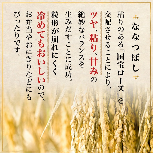 お米 北海道産 ななつぼし 精白米 10kg(5kg×2袋) 令和6年産 お米 北海道産 ななつぼし 精白米 10kg(5kg×2袋) 令和6年産