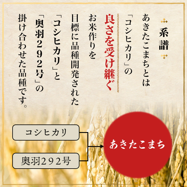 2024年産　秋田米　あきたこまち　精米10kg Amazon.co.jp: 【精米】米 10kg 令和6年産 秋田県産
