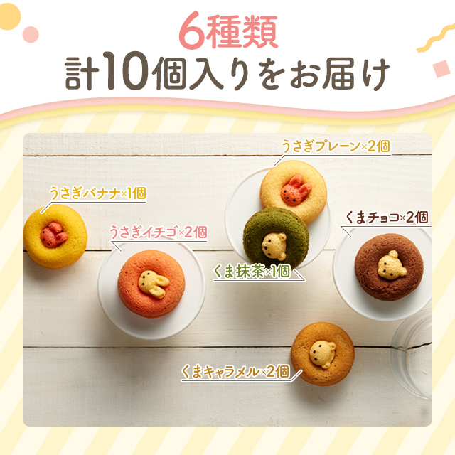 アニマルドーナツ 10個 スイーツ 洋菓子 焼き菓子 ドーナツ 詰合せ