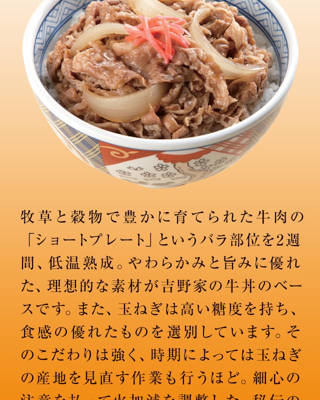吉野家 超小盛丼 2個セット YOSHINOYA どんぶり 送料込み 吉野家 牛丼の具 120g×24食 手のひらサイズ 超小盛丼付