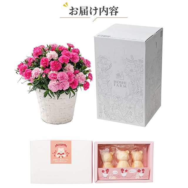 母の日 予約販売 ホシファーム カーネーション＆くまモナカ堂 くまの