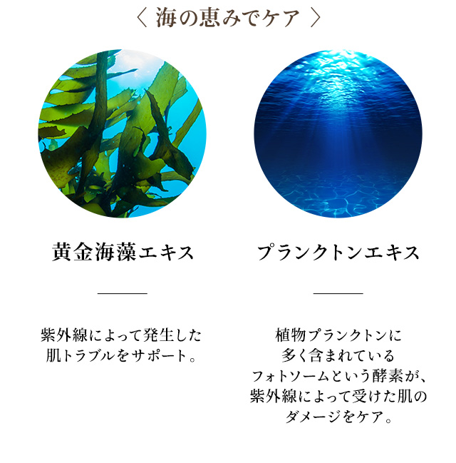 シエル エ メール モイスチュアライジングクリーム 50g