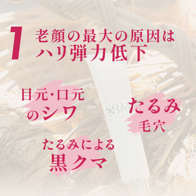 ソロショット アイケアリッチ 30g