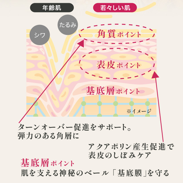 ソロショット アイケアリッチ 30g