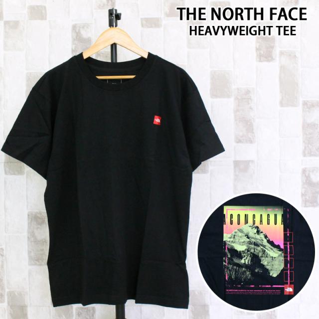 THE NORTH FACE ザ ノースフェイス レッドボックス アコンカグア ヘビーウエイトTシャツ M S/S RED BOX ACONCAGUA HEAVYWEIGHT TEE NF0A8BY9 メンズ ブランド