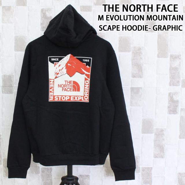 THE NORTH FACE ザ ノースフェイス TNF マウンテンスケープ バックプリント スウェットフーディ M EVOLUTION MOUNTAIN SCAPE HOODIE- GRAPHIC NF0A8GMG スウェットパーカー メンズ ブランド