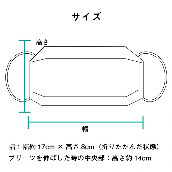 マスク 洗える 日本製 「肌にやさしい 洗える絹マスク」 即納 在庫あり 抗菌化作用 紫外線カット 洗えるマスク 地紋柄入り 個包装 大人用 女性 男性 男女兼用 シルク 絹 不織布フィルター入り プリーツマスク 布マスク 立体マスク レギュラーサイズ 【即納可】【返品不可】【メール便対応可】