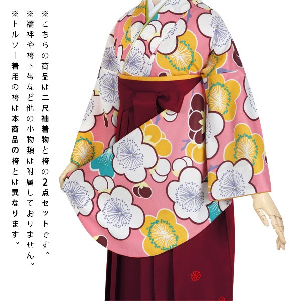 【中古品】卒業式袴セット 「二尺袖：ピンク　梅の花+袴：エンジ×矢絣」 貸衣装処分 レンタル処分品 二尺袖 袴 卒業式、謝恩会に 【メール便不可】