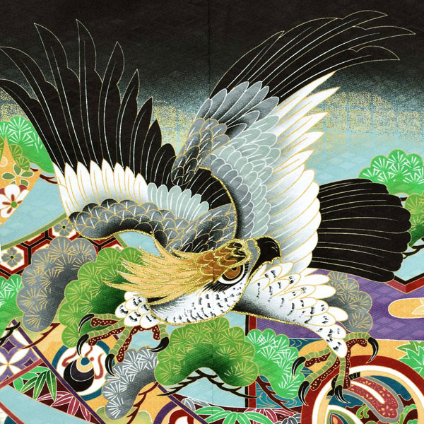 七五三 着物 男の子 5歳 羽織袴セット 「黒　鷹、蔓帯」 フルセット 5歳向け 5才 五歳 男児用 着物セット 子供着物 五才のお祝い着 【メール便不可】