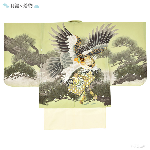 七五三 着物 男の子 5歳 羽織袴セット「若葉色　鷹に松」フルセット 5歳向け 5才 五歳 男児用 着物セット 子供着物 五才のお祝い着【メール便不可】