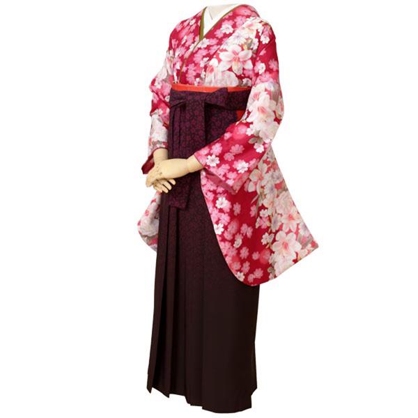 【中古品】二尺袖 単品「ワイン　コスモス白百合」貸衣装処分 レンタル処分品 卒業式 【メール便不可】