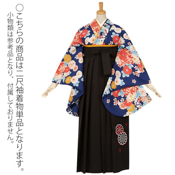 【中古品】二尺袖 単品「ワイドサイズ 青 菊と藤の花」貸衣装処分 レンタル処分品 卒業式 【メール便不可】