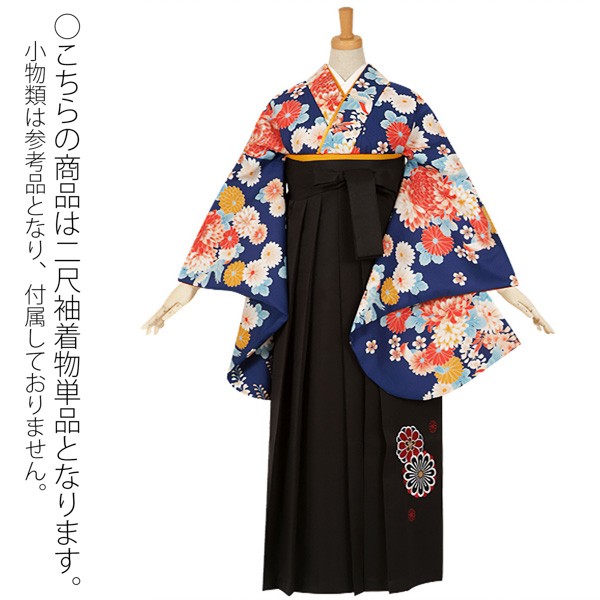 【中古品】二尺袖 単品「ワイドサイズ　青　菊と藤の花」貸衣装処分 レンタル処分品 卒業式 【メール便不可】