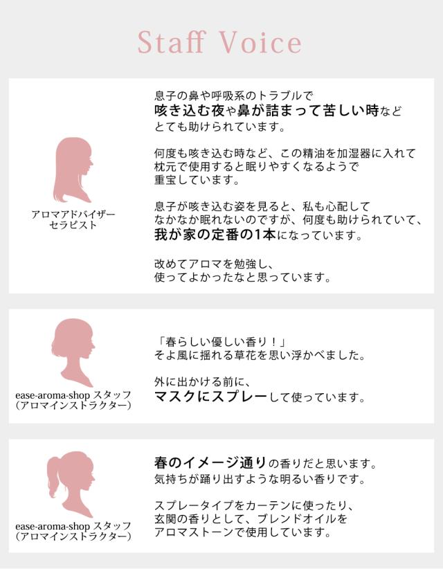 スタッフボイス