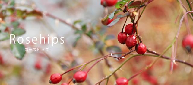 ローズヒップ