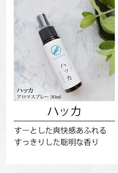 ハッカ