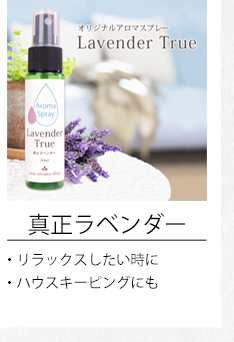 真正ラベンダー