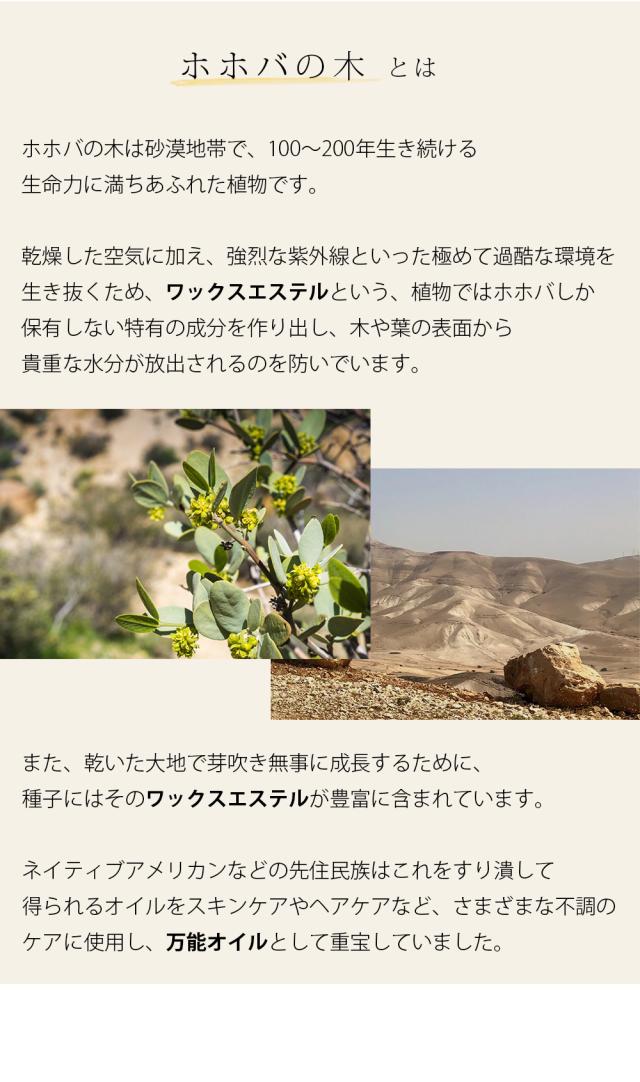 ホホバの木とは ホホバの木は砂漠地帯で、100〜200年生き続ける生命力に満ちあふれた植物です。乾燥した空気に加え、強烈な紫外線といった極めて過酷な環境を生き抜くため、ワックスエステルという、植物ではホホバしか保有しない特有の成分を作り出し、木や葉の表面から貴重な水分が放出されるのを防いでいます。また、乾いた大地で芽吹き無事に成長するために、種子にはそのワックスエステルが豊富に含まれています。ネイティブアメリカンなどの先住民族はこれをすり潰して得られるオイルをスキンケアやヘアケアなど、さまざまな不調のケアに使用し、万能オイルとして重宝していました。