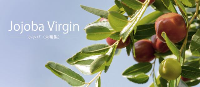 TOP画像 Jojoba Virgin ホホバ(未精製)