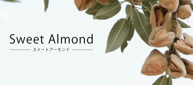 スイートアーモント?