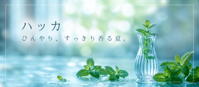 TOP画像